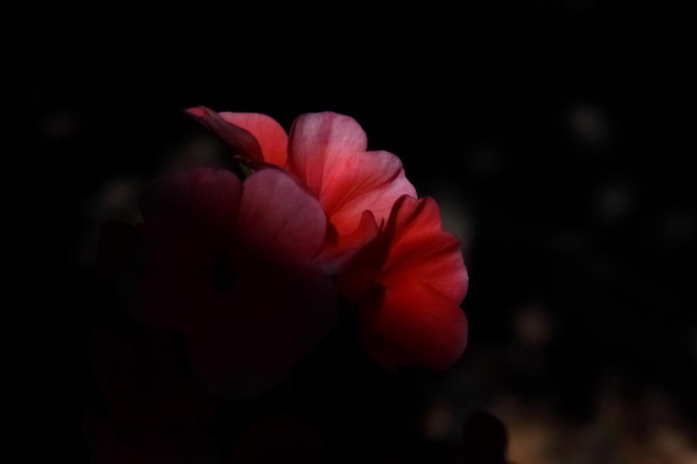 2012 05 19 3522